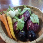 野菜1